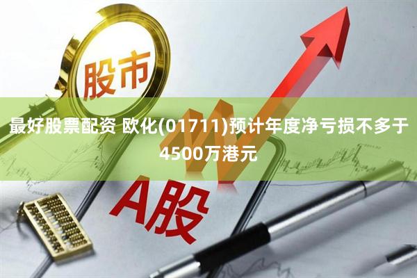 最好股票配资 欧化(01711)预计年度净亏损不多于4500万港元
