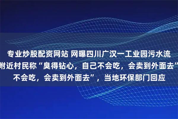 专业炒股配资网站 网曝四川广汉一工业园污水流入产粮区灌溉水渠，附近村民称“臭得钻心，自己不会吃，会卖到外面去”，当地环保部门回应